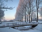 Waarschijnlijk de koudste dag van het jaar zaterdag 4 februari 2012. In lelystad was het 22 graden onder nul. Bij ons in Beverwijk maar!? 15,4 graden onder nul. Wel een heel mooi plaatje met de rijp aan de bome