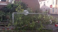 Lichtmast afgebroken door omvallende boom in de Romerkerkweg in Beverwijk 25 juli 2015