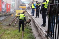 Deze hond bracht het treinverkeer tussen Amsterdam CS en Sloterdijk tot stilstand 26 november 2016