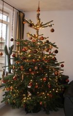Onze Kerstboom 