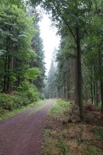 Prachtige natuur in Thüringen 30-augustus 2018