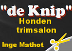 Knipsalon  de Knip  in Heemskerk