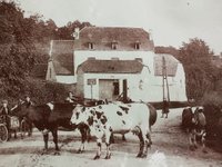 Oude foto van Huize Mathot in Bassenge